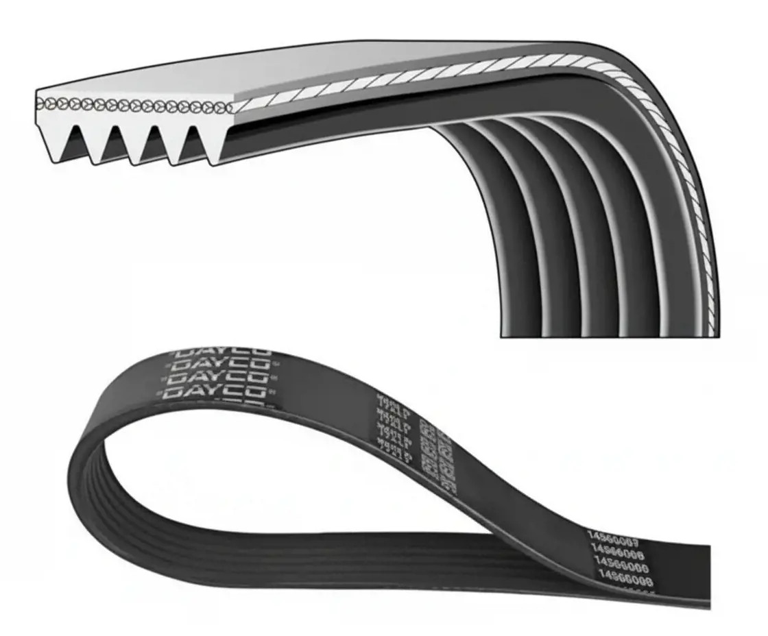 DAYCO 5PK1005 Cinghia Poly-V - Immagine 2