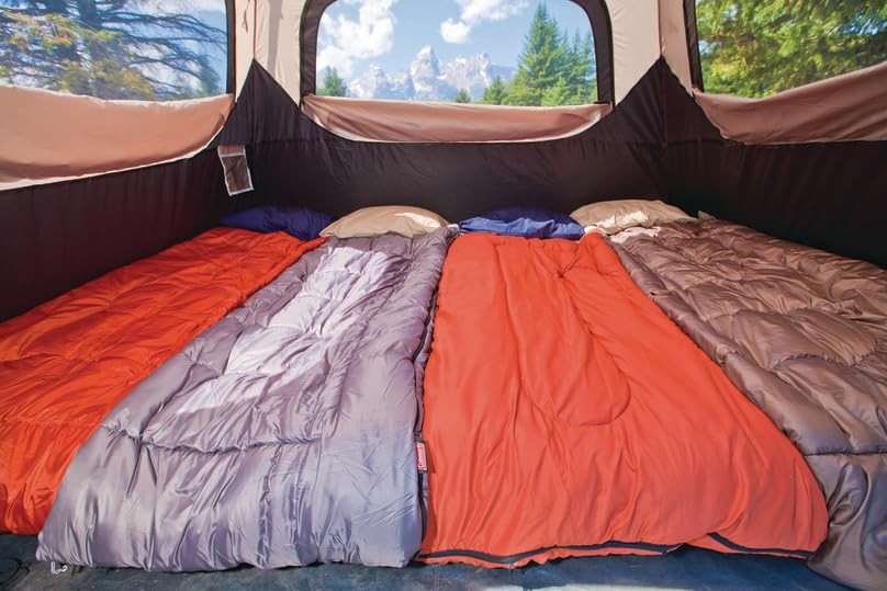 Coleman Instant Tent ブラウン/ブラック　6人 6-Person Instant Cabin | Coleman