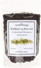 Broccoli Seeds for Sprouting  Microgreens  Waltham 29 Variety  8 oz, Green