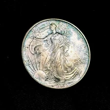 USA - $1 Dollar - 1993 American Silver Eagle 1 oz .999 Toned!