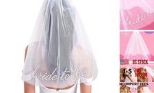 Bachelorette Bride To Be Embroidered Veil  BachParty Accessory, Bride To Be