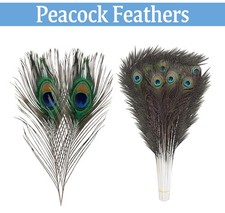 Natural Peacock Feathers Real Peacock Tail Feathers 25-80cm Feathers Decors