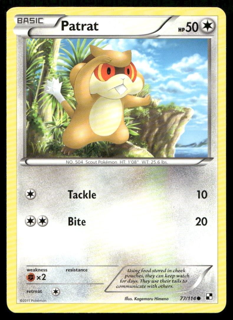 Patrat 77/114 Common Black & White Pokemon Moderately Played