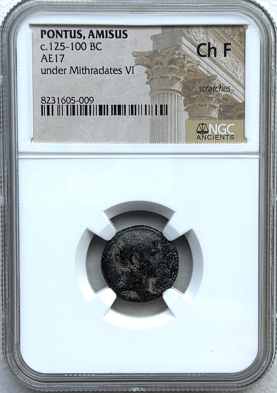 PONTUS, AMISUS c.125-100 BC -AE DICHALKON MITHRADATES VI - NGC CH F - FREE SHIP!