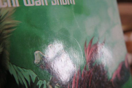 SVC CHAOS SNK VS. CAPCOM TPB DGN 1 CHI WAN SUM MUY RARO FUERA DE STOCK - Imagen 5 de 7