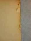 Bild 11 von 12