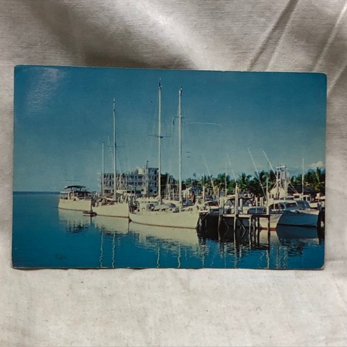 Vintage 1963 Postcard Bimini Harbor - 第 1/6 張圖片