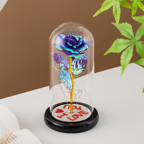 LED Rose Gifts for Her Women Flowers Rose in Glass Dome Birthday Christmas Gifts - Picture 20 of 25