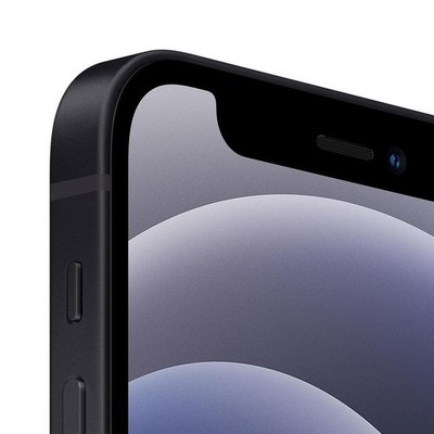 Apple iPhone 12 Mini Fully Unlocked 256GB Black (Excellent) | eBay