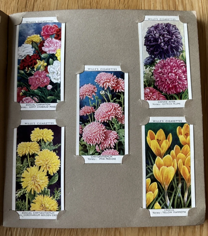 Will’s Cigarette Picture-Card Album - Full Set Of Garden Flowers - 1939 - Image 4 of 4