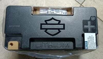 Harley Davidson Lithium 600A 12V 7Ah 89.6Wh LiFePO4 Cycle Battery