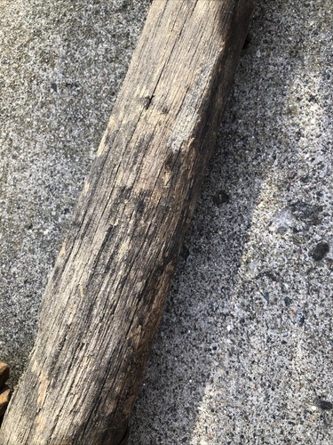 Vtg Primitive Yoke Wood Iron Horse Oxen Farm Western 36” Decor Hanger Spreader - Picture 7 of 12
