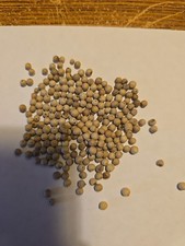 16 Oz White Peppercornsfor grinder refill. fresh packed 5/2025