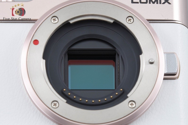 Panasonic LUMIX DC-GF10 White DSLR 12-32 25 Lenses [Japanese