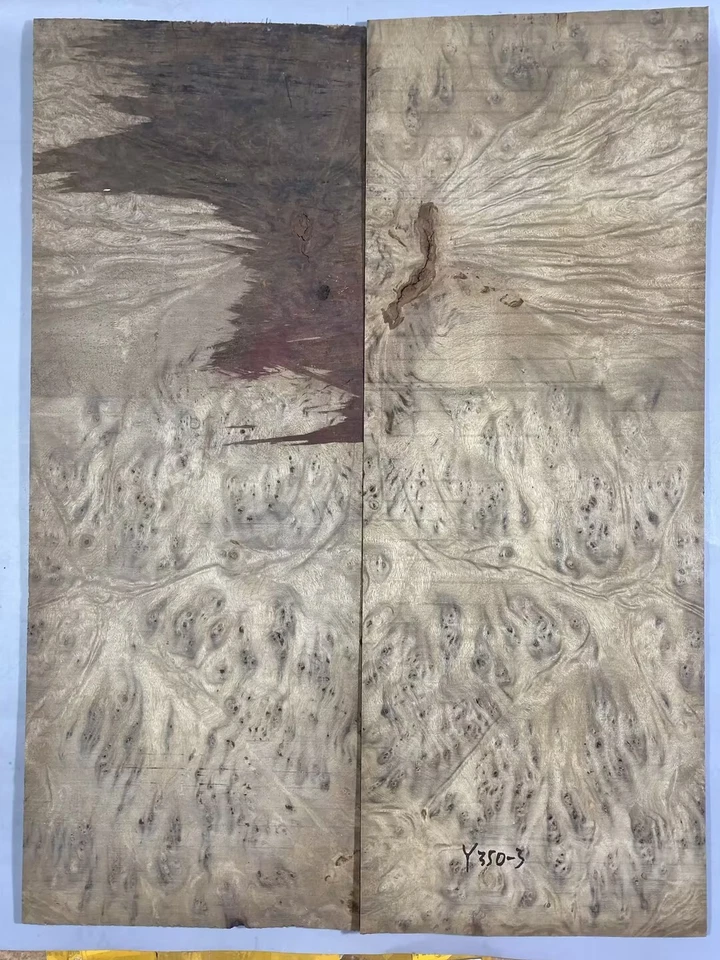 5A Figure Les Paul Guitar Top Barky Golden Camphor Wood Burl Luthier Supply - Image 4 of 4