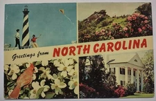 Greetings From North Carolina Chrome Postcard Unposted Cape Hatteras Orton
