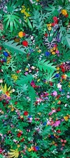 lego 25 � plants, flowers, trees Leaves,stems, job lot, bundle, etc. Excel.con.
