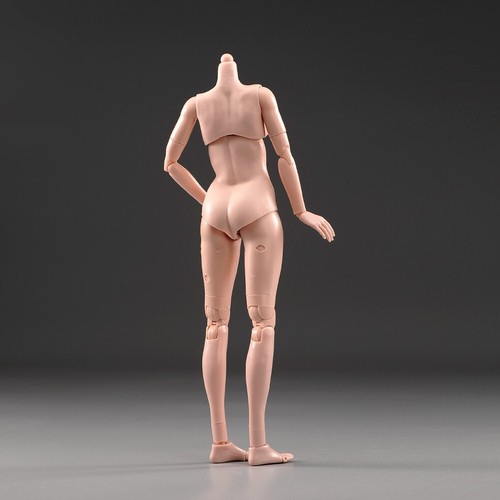 1/6 Suntan Skin Female Body Flexible Large Bust Action Figure Model Doll Body - Picture 20 of 24