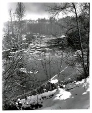 1957 Duwamish River Polar Bears Foster Golf Course 8X10 Historic Vintage Photo