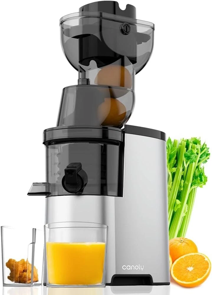 Masticating Juicer Machine 300W 3.5-inch Slow Cold Press Fruit and Veggie Juicer
