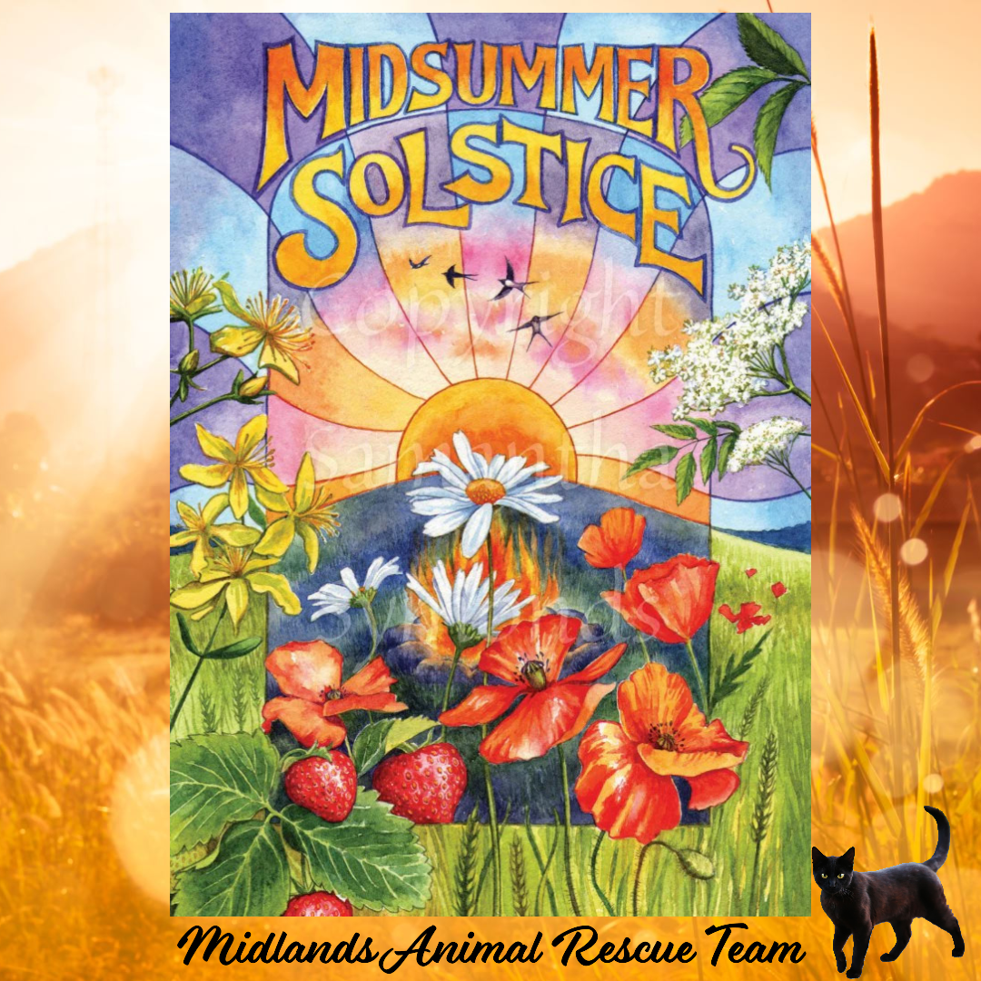 Midsummer Solstice Greeting Card - By S Symonds - Sale For Our Animal Charity