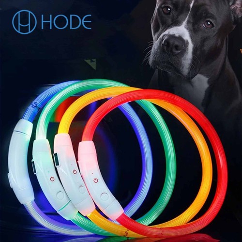 USB recargable con de seguridad durante la noche collar de perro Collar luminoso para Reino eBay