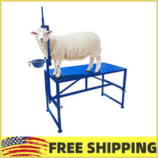 Heavy-Duty 600 Lbs Goat Milking Stand W/Adjustable Height  Headpiece Feed Bin