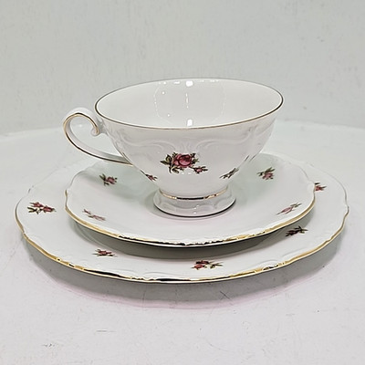 Bavaria Western Germany Elfenbein Rose Bud Pattern Tea Cup Saucer Plate 3 pc