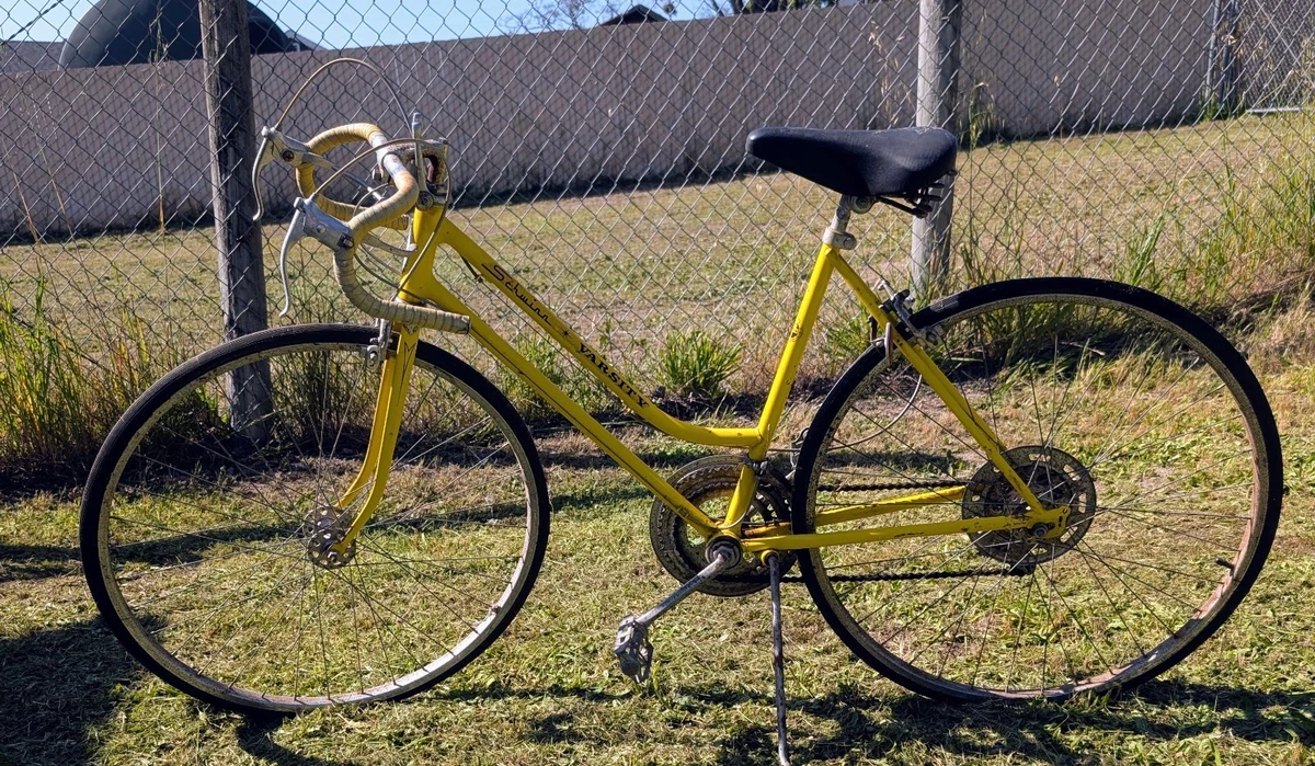 womens yellow bicycle Carmen The Firmstrong Urban Lady Limited 26 Single Speed Beach Cruiser Bicycle features an elegantly curved steel frame in your choice of finish with painted rims that protect against rust Felt Bicycles Verza Path 60