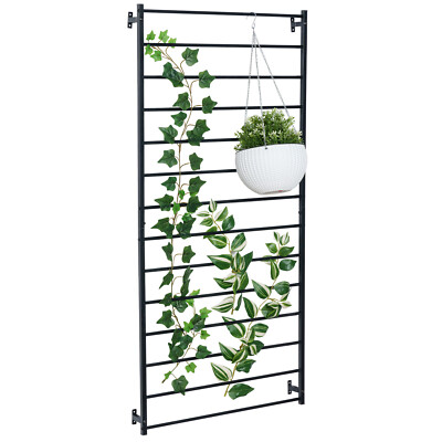 good plants for hydroponics Personal Indoor Garden