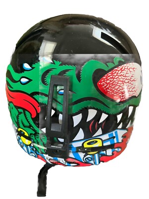 Santa Cruz Rob Roskopp Ski & Snowboard Helmet Size M Vintage Giro