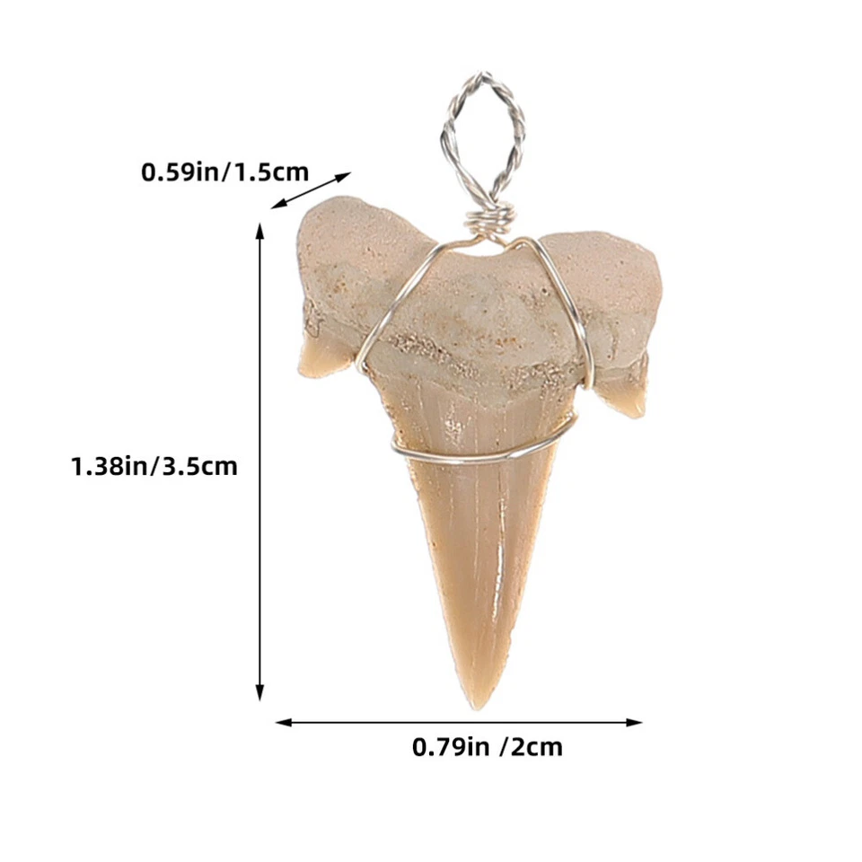 2 Pcs Haifischzahn-Anhänger Kind Mann Junge Schmuck Charms Kette - Bild 4 von 4