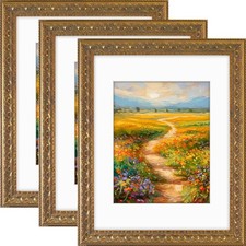Golden State Art 3-Pack 11x14 Photo Frame Wall Display White Mat for 8x10 Pics