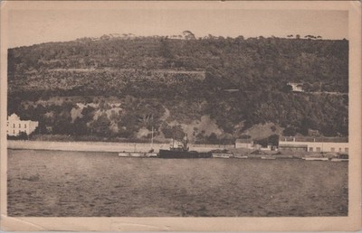 Tenes Un Coin Du Post Et LA Foret Algeria 1943 US Navy Censor Postcard