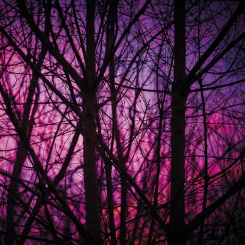 Альбом Dave Bessell Reality Engine (CD)