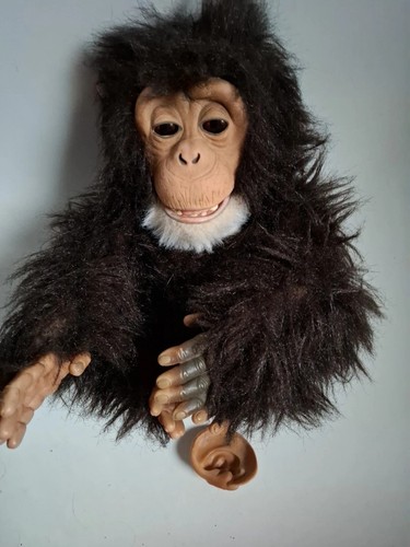 Hasbro Fur Real Friends Cuddle Affe Schimpanse 2005 voll funktionsfähig - Bild 7 von 7