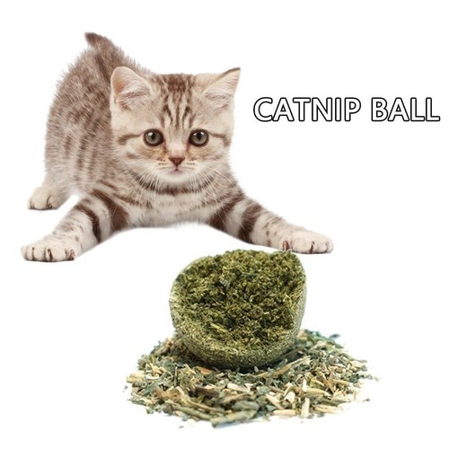2 pcs Purrfect Pet Snacks Catnip and Mint Ball Toy for Feline Fun and Games E5K5 - Picture 7 of 17
