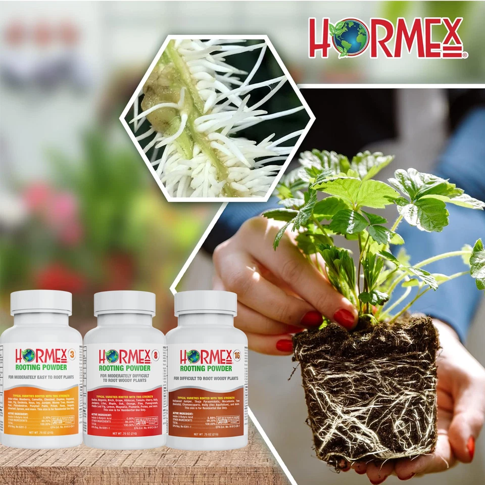 Hormex Polvo de Enraizamiento #3, 8, 16 Pack - Fácil a Difícil de Enraizar Plantas Leñosas Foto 4 de 4