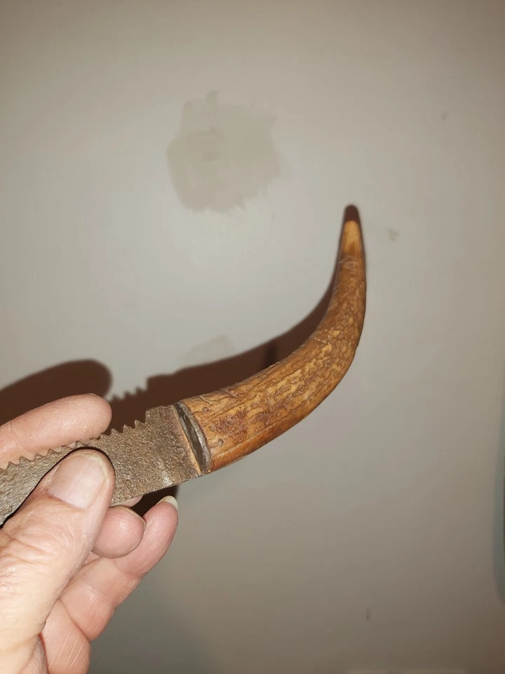 LONGUE SCIE ANCIENNE A GUICHET XIXEME FORGEE MAIN CHARPENTIER OU CHAUMIER - Photo 4/4