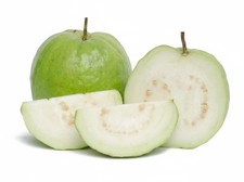Fresh Thai Guava (10 LBS) The Actual Fruit