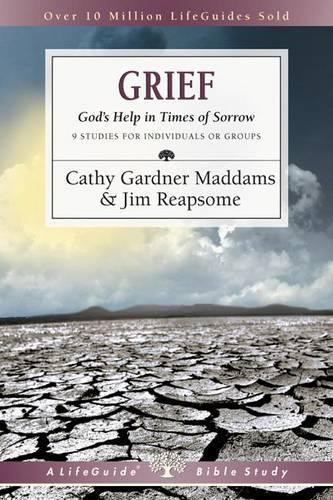 Cathy Gardner Maddams James W. Reapsome Grief (Paperback)