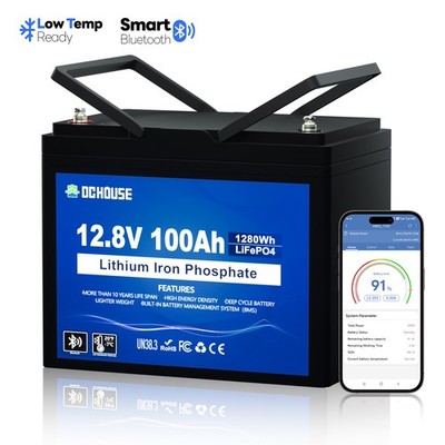 12V 100Ah LiFePO4 Lithiumbatterie mit Bluetooth Temperaturschutz BMS Wohnmobil
