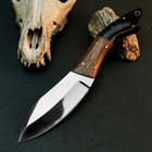 8.8" D2 Steel Hunting Knife Full Tang Fixed Blade Hybrid Handle + Sheath — photo 2
