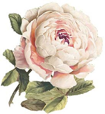 VinTaGe IMaGe GoRGeouS PaLe PinK CaBbaGe RoSeS SHaBbY WaTerSLiDe DeCALs