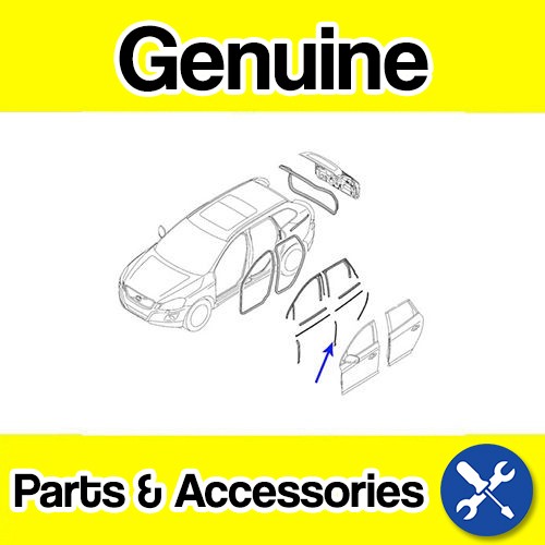 Genuine Volvo XC60 Rear Door Seal (Left)