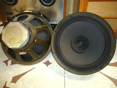 speaker jordan 12 inch