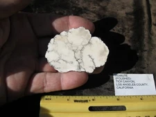 HOWLITE Crystal, mineral  2 1/2"   1.5 oz. from Tick Canyon, Los Angeles Co, CA