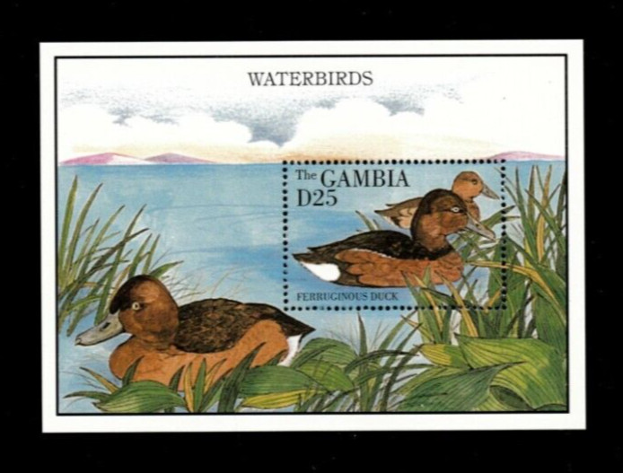 VINTAGE CLASSICS - Gambia 1995 - Birds - Souvenir Stamp sheet - Scott 1618 - MNH