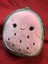 Kellytoy Squishmallow Watermelon NEW SPRING HTF RARE Foodie Squad 734689796427 | eBay