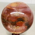 Natural Petrified Wood Polished Stone Quartz Crystal Sphere Ball Healing 2220G — photo 2